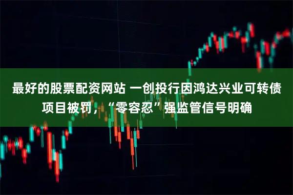 最好的股票配资网站 一创投行因鸿达兴业可转债项目被罚，“零容忍”强监管信号明确